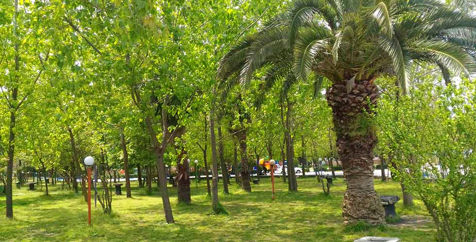 طبیعت پارک ملت محمودآباد